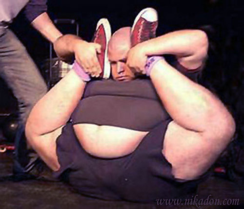 CWebsterhall's profile picture. certificate ...