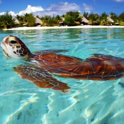 Spreading Pictures of the Beautiful World for All to See http://t.co/E4to8ibtKf