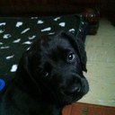 Jane Hennessy - @hennessy_jane - Twitter