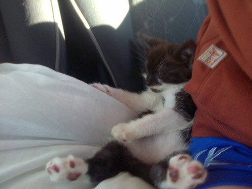 kylesmith989's profile picture. 