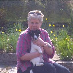 ceri_renwick's profile picture. 