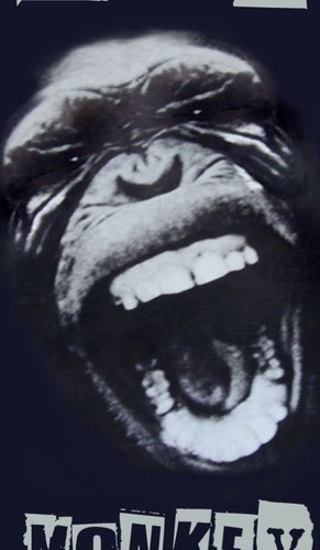 alewildmonkey's profile picture. 