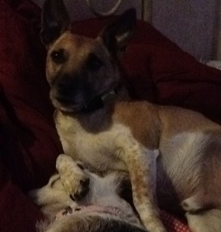 sue_srsutton42's profile picture. 