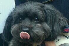 maru_mac's profile picture. 