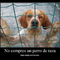 Munheka Animalista (@munheka) 's Twitter Profile Photo