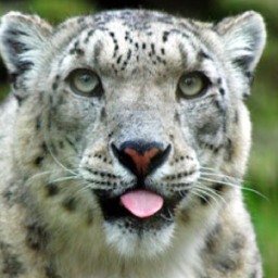 trysteycarmack's profile picture. 