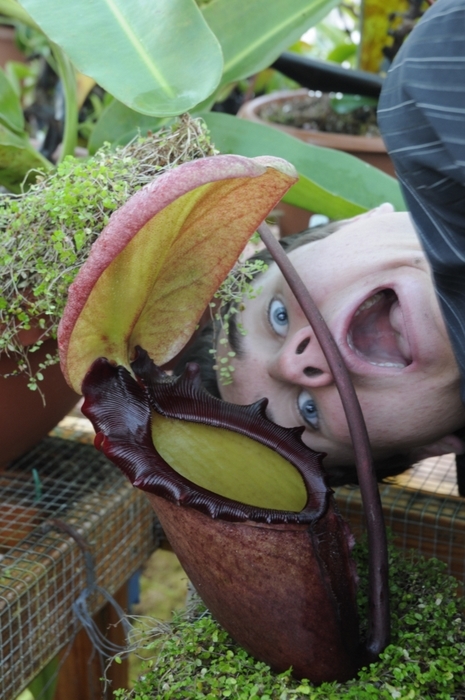 Carnivorous Plant Grower