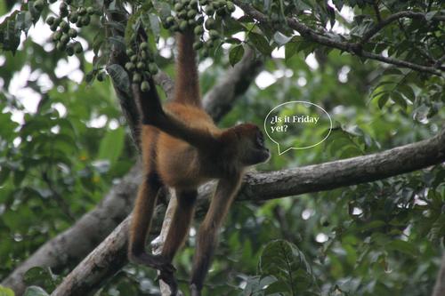 Loco por la naturaleza !!