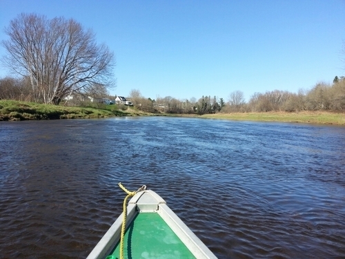 Proline125's profile picture. 