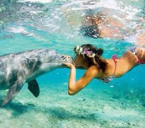 summerposts10's profile picture. Bitches be bitches✌