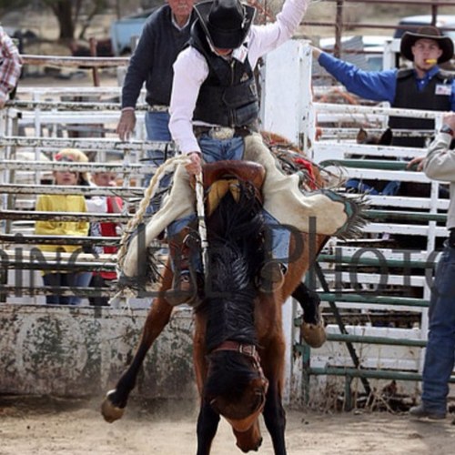 Spurrin necks and cashin checks - ND, SD, and MN rodeo