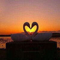 ! (@1234roroo) 's Twitter Profile