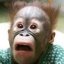 Dave Castle - @DaveMCastle - Twitter