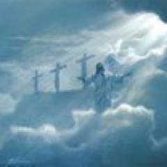 ladyofmanytrade's profile picture. 