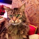 Melody Mann Fox - @mmf1099 - Twitter