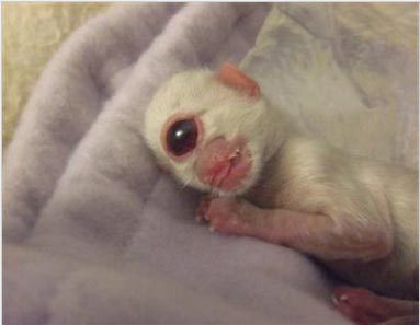 rgrupy's profile picture. 