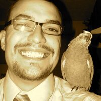 Nicolas Laracuente (@archaeologist) 's Twitter Profile