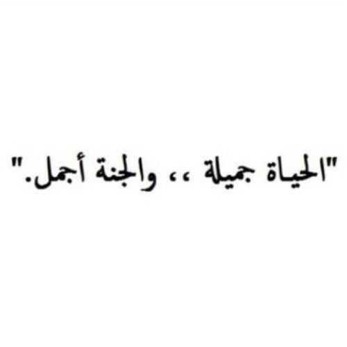 follow me on my other account: @dmkaloufi.