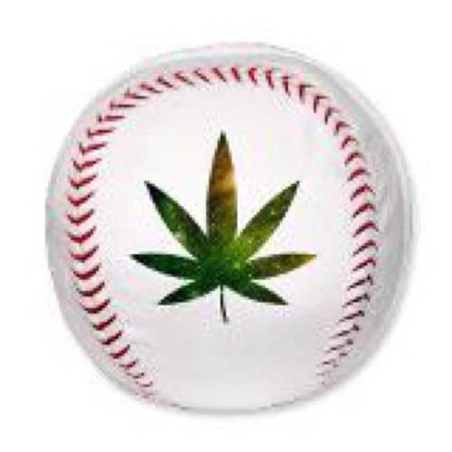 LovingStoner_'s profile picture. Why cant we all be friends? Spread peace and pass the joint. Its good for you.   
                 I FOLLOW BACK!!