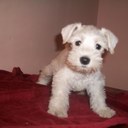 Lacy Stanley - @LacyStanley - Twitter