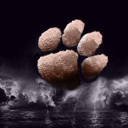 TigersBillsFan's profile picture. 