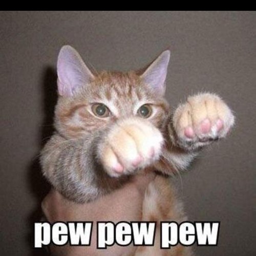 _themidget_'s profile picture. Just a boring persom tryin to impress people through the internet