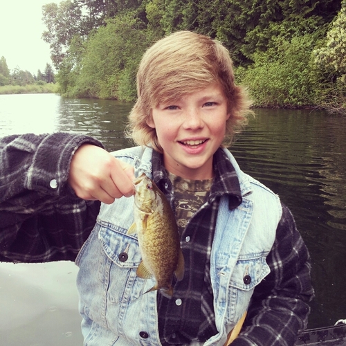 elliot_4's profile picture. 