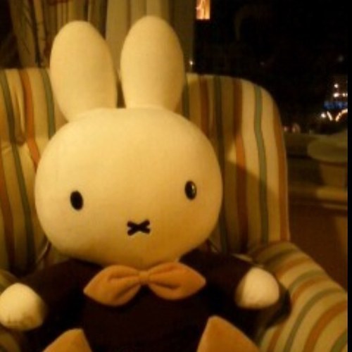 chihirokikiki's profile picture. ♡handmade🧵 ♡コスメ ♡R5.2 baby ♡おうちごと(お料理や片付け) ♡旅行(めざせ47都道府県！)遊園地🎡 かわいいもの😍文房具😍工具😍博物館めぐり😍KinKi Kids😍Miffy😍 むーんぱわーさろん🌙むーんず4