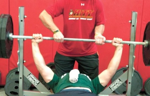 foxpride22's profile picture. 