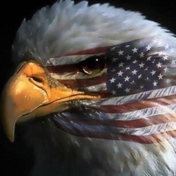 RyOdie24's profile picture. Buckeye