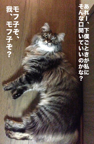 HidariKagetoraさんのプロフィール画像