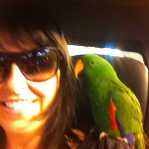 UrbanHerd_'s profile picture. Animal health and wellbeing for city living. 
Animal Minding and Day Care.Exercise.Nutrition.Behaviour. Grooming.Medical.Transport and Travel.