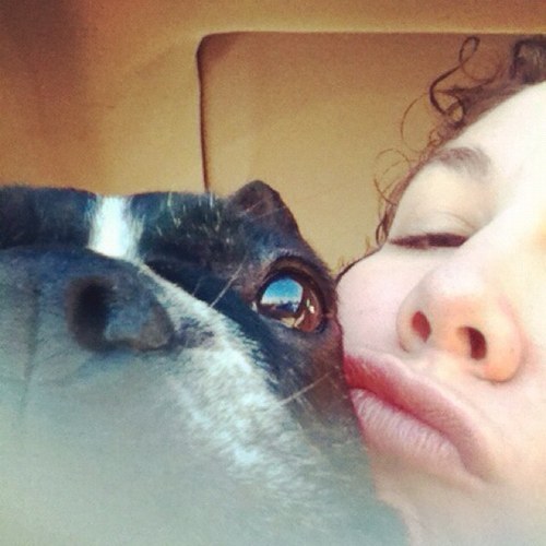 lilsolivia's profile picture. I like fashion a lot, love my rescue frenchie Fanny & Boosie way too much! And friends, life & food somewhere inbetween...