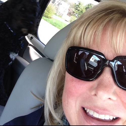 Lollypete's profile picture. 