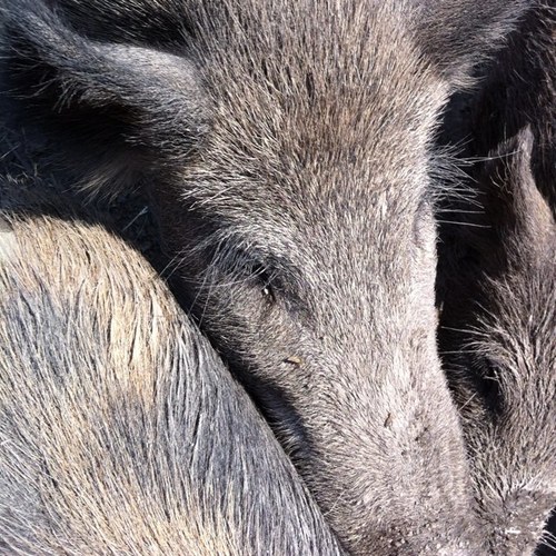 tinkpinkard's profile picture. 