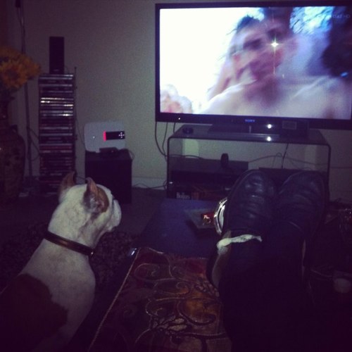 silcaff's profile picture. 