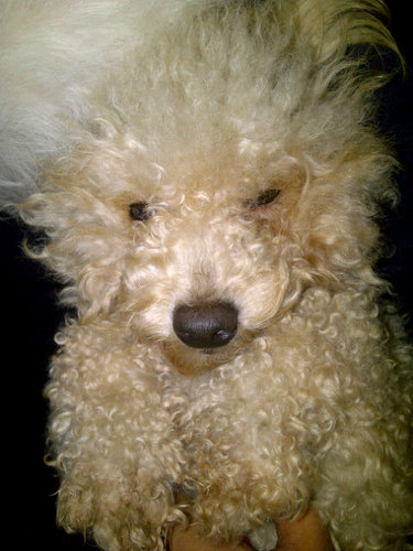 HatredDestiny's profile picture. Je t'aime. ♥