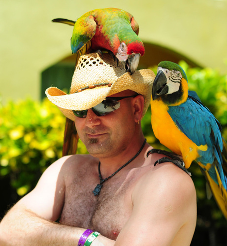 Creative writer and photographer melding both arts in order to inspire your surroundings.