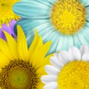 Lorena Barron - @lorenabarron77 - Twitter