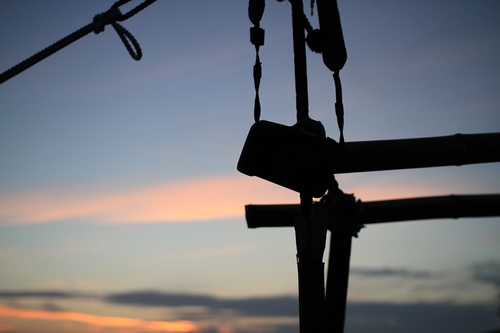 tsudasousou's profile picture. https://t.co/YF29m8R9hr 及び https://t.co/8Z9NXXp2V7