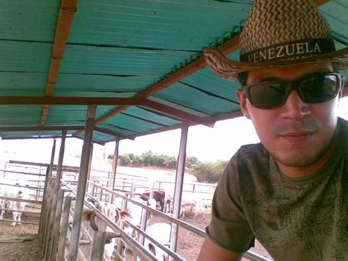 Venezolano, Ingeniero Agrónomo de Producción Animal