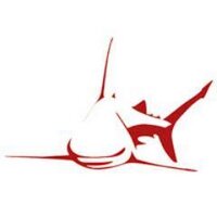Christophe Launay (@sealaunay) 's Twitter Profile