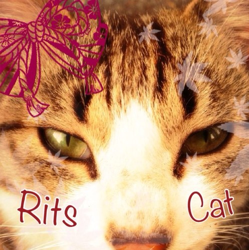 ritscat Profile Picture