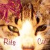 立命館大学猫の会 RitsCat (@ritscat) Twitter profile photo 立命館大学猫の会 RitsCat (@ritscat) Twitter profile photo