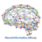 NeuroInformatics.GR