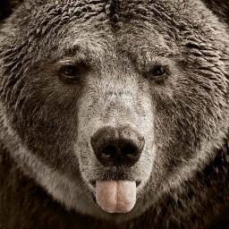 MikeDff's profile picture. Фотограф & музыкант