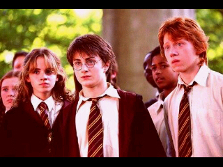 We're not just a fans. We're Potterheads \m/ Searching for 2 admin. Minat? Favs :D follow back for the first 50