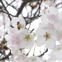 catherine durand - @katherine2111 - Twitter