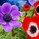 Constance Smith - @ConstanceSmit14 - Twitter