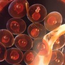 jerry choi - @ccw101326 - Twitter